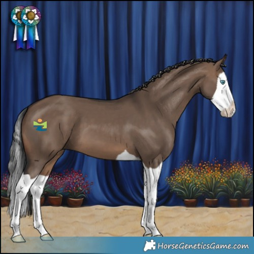 Horse Color:Brown Dun Splash 