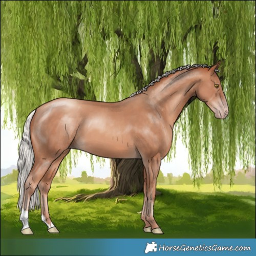 Horse Color:Silver Sable Champagne 
