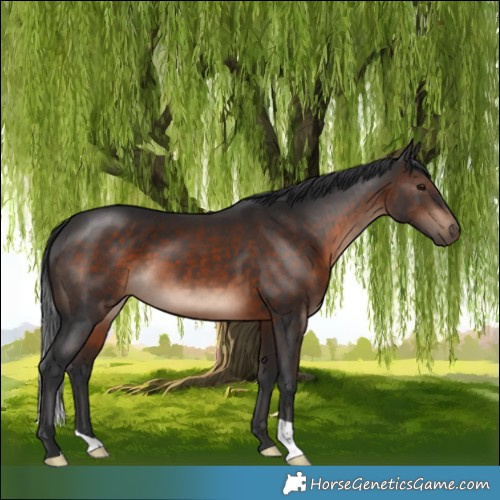 Horse Color:Brown Mushroom 