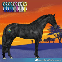 Horse Color:Black Ice Varnish 