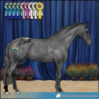 Horse Color:Black Ice Appaloosa 