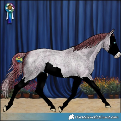 Horse Color:Watercolor Liver Red Dun Ice Roan Splash 