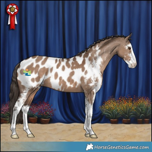 Horse Color:Liver Red Dun Sabino Blanket 