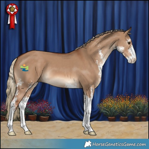 Horse Color:Red Dun Sabino 