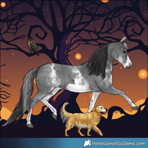 Horse Color:White Spotted Black Sabino Frame 