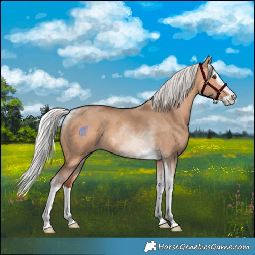 Horse Color:Silver Bay Dun Splash Tobiano Rabicano 