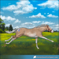Horse Color:Silver Bay Dun Splash Tobiano Rabicano