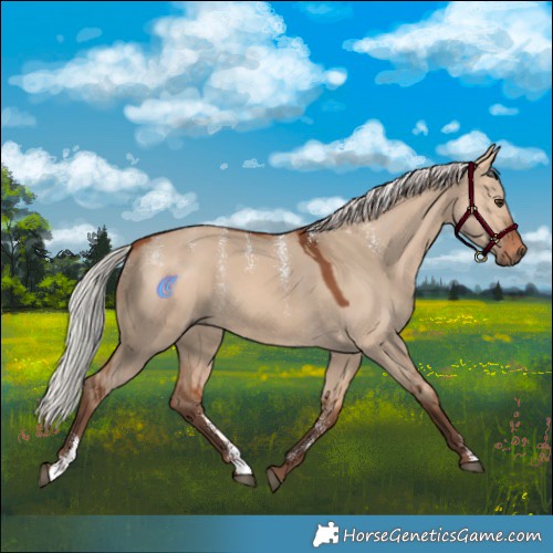 Horse Color:Powder White Silver Bay Dun Rabicano 