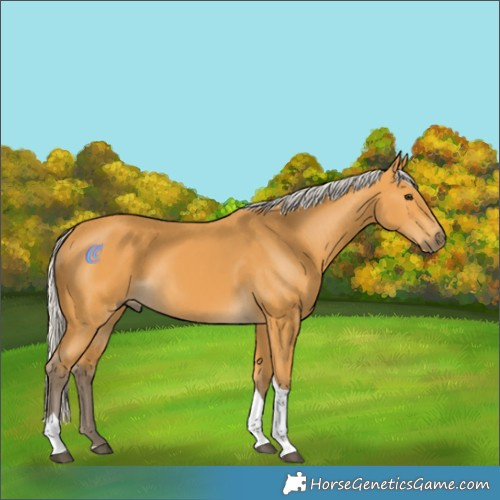 Horse Color:Silver Buckskin Tobiano 