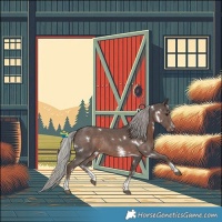 Horse Color:White Spotted Silver Black Sabino Rabicano 