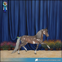 Horse Color:White Spotted Silver Black Sabino Rabicano 