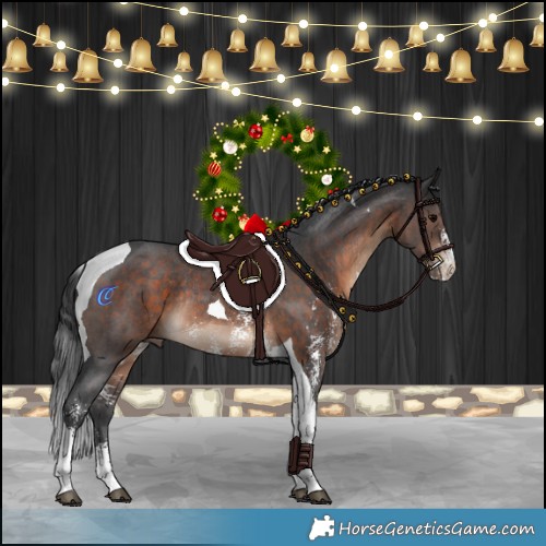 Horse Color:Brown Sabino Tobiano Rabicano 