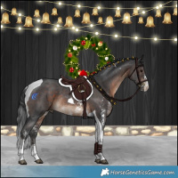 Horse Color:Brown Sabino Tobiano Rabicano