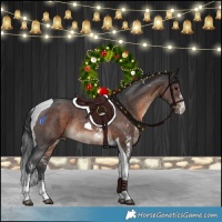 Horse Color:Brown Sabino Tobiano Rabicano 