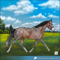 Horse Color:Brown Ice Sabino Tobiano Rabicano 