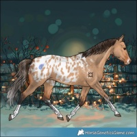 Horse Color:Powder White Bay Dun Tobiano Near Leopard 