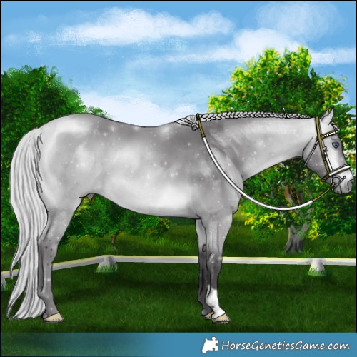 Horse Color:Silver Buckskin Chinchilla 
