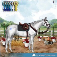 Horse Color:Gray White Spotted Liver Chestnut Splash Tobiano 