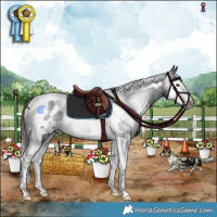 Horse Color:Gray White Spotted Liver Chestnut Splash Tobiano 