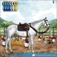 Horse Color:Gray White Spotted Liver Chestnut Splash Tobiano 