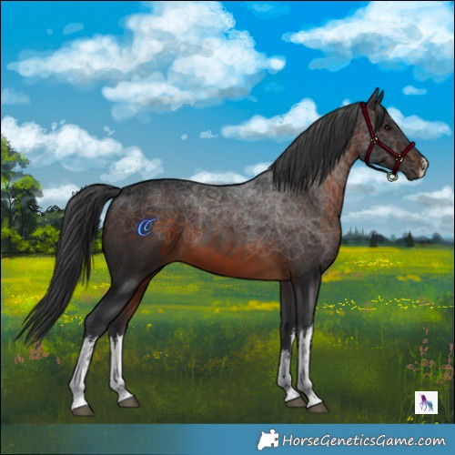 Horse Color:White Spotted Brown Mushroom 