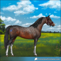 Horse Color:White Spotted Brown Mushroom 