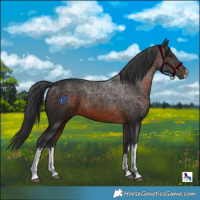 Horse Color:White Spotted Brown Mushroom 