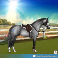 Horse Color:Gray Brown Rabicano 