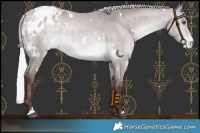 Horse Color:White Spotted Chocolate Silver Bay Chinchilla Varnish 