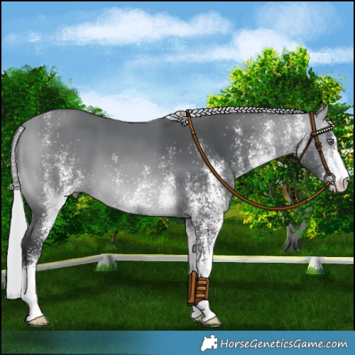 Horse Color:White Spotted Silver Bay Chinchilla 
