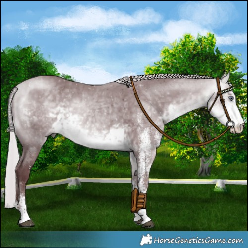 Horse Color:White Spotted Chocolate Silver Buckskin Chinchilla 