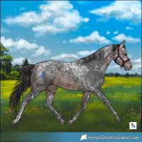 Horse Color:Brown Ice Tobiano Rabicano