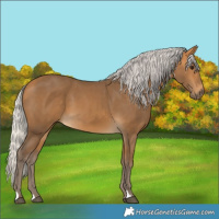 Horse Color:Silver Buckskin