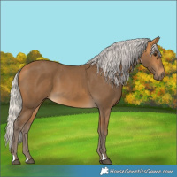 Horse Color:Silver Buckskin 