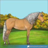 Horse Color:Silver Buckskin 