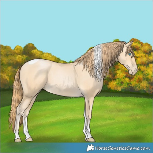Horse Color:Buckskin Pearl Tobiano 