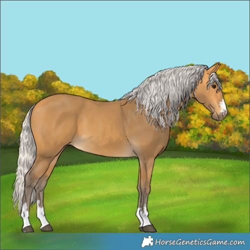 Horse Color:Silver Buckskin 