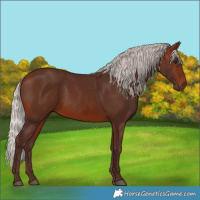 Horse Color:Silver Brown 