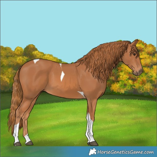 Horse Color:Chestnut Tobiano 