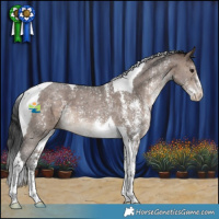 Horse Color:Brown Dun Sabino Tobiano 