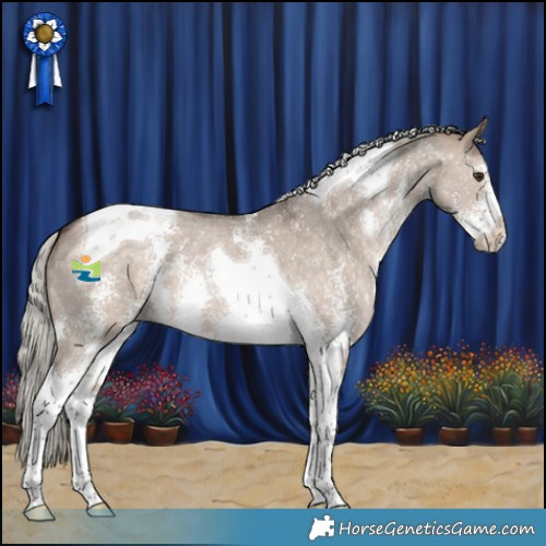 Horse Color:Silver Brown Dun Sabino Tobiano 