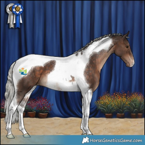 Horse Color:Silver Brown Tobiano Varnish 