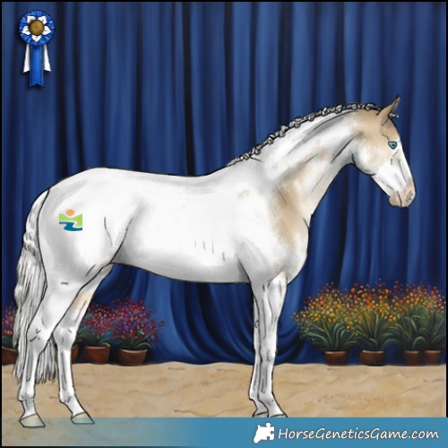 Horse Color:White Spotted Silver Black Snowdrop Pearl Tobiano Frame 