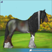 Horse Color:Liver Chestnut Tobiano