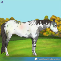 Horse Color:Liver Red Roan Frame Blanket