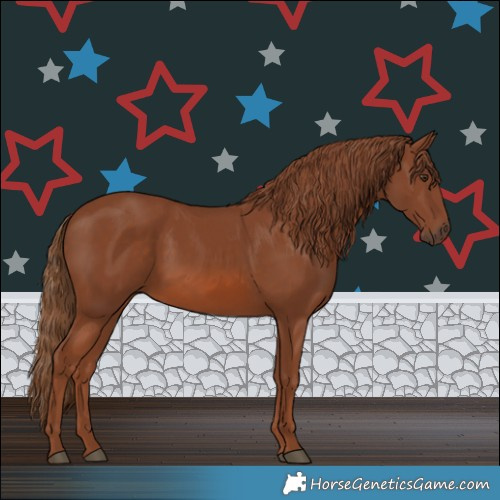 Horse Color:Chestnut 