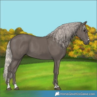 Horse Color:Silver Black 