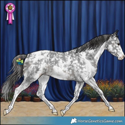 Horse Color:White Spotted Black Sabino Snowflake Varnish 