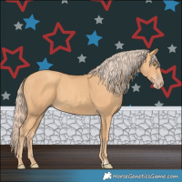 Horse Color:Gold Champagne 