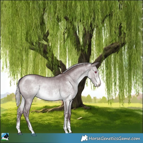 Horse Color:Chocolate Silver Brown Chinchilla Sabino 